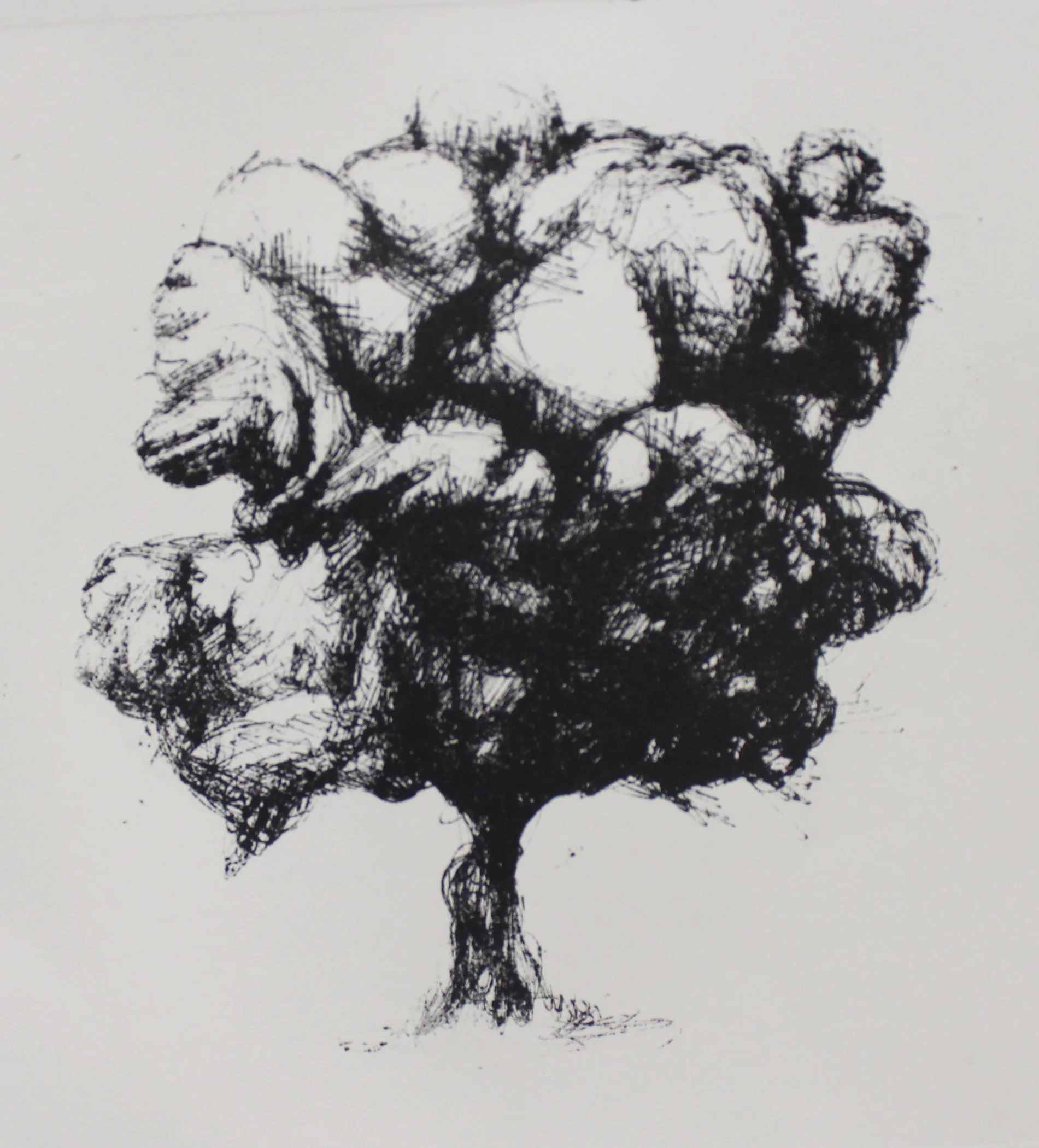 Micropyrocumulus