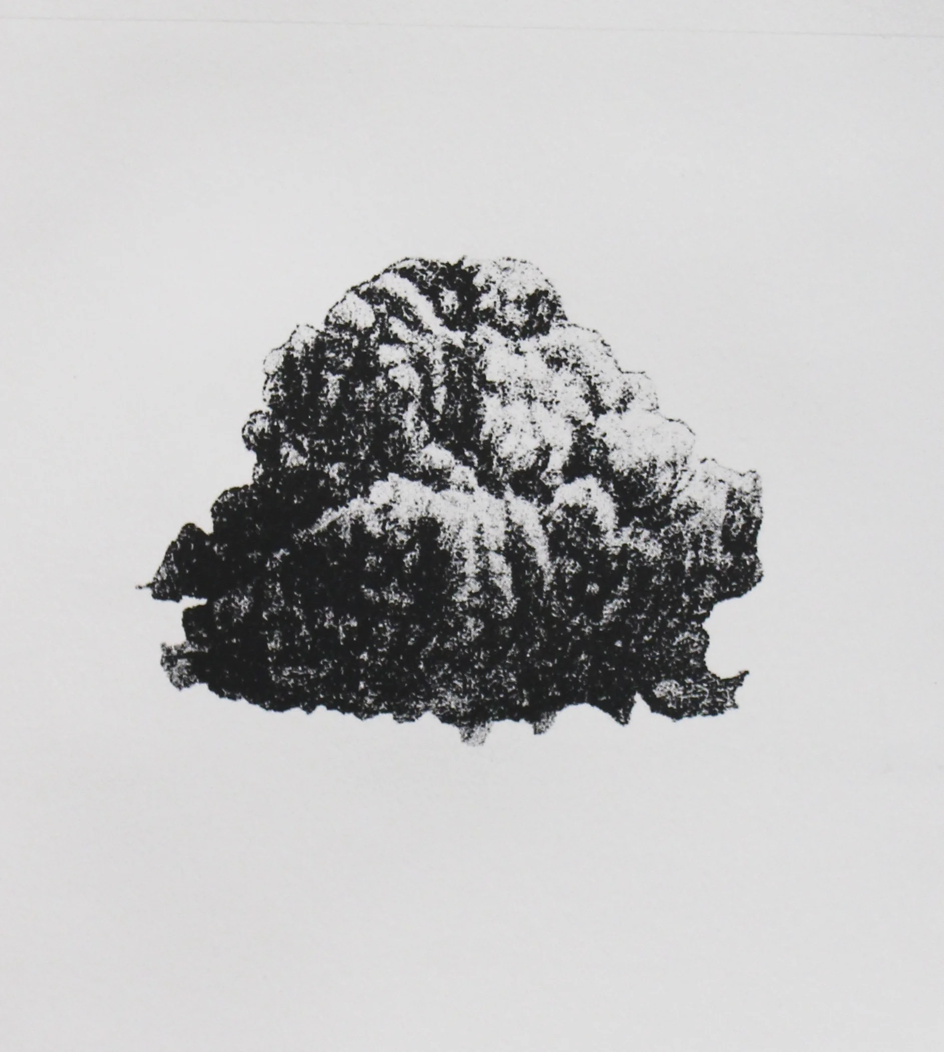 Micropyrocumulus