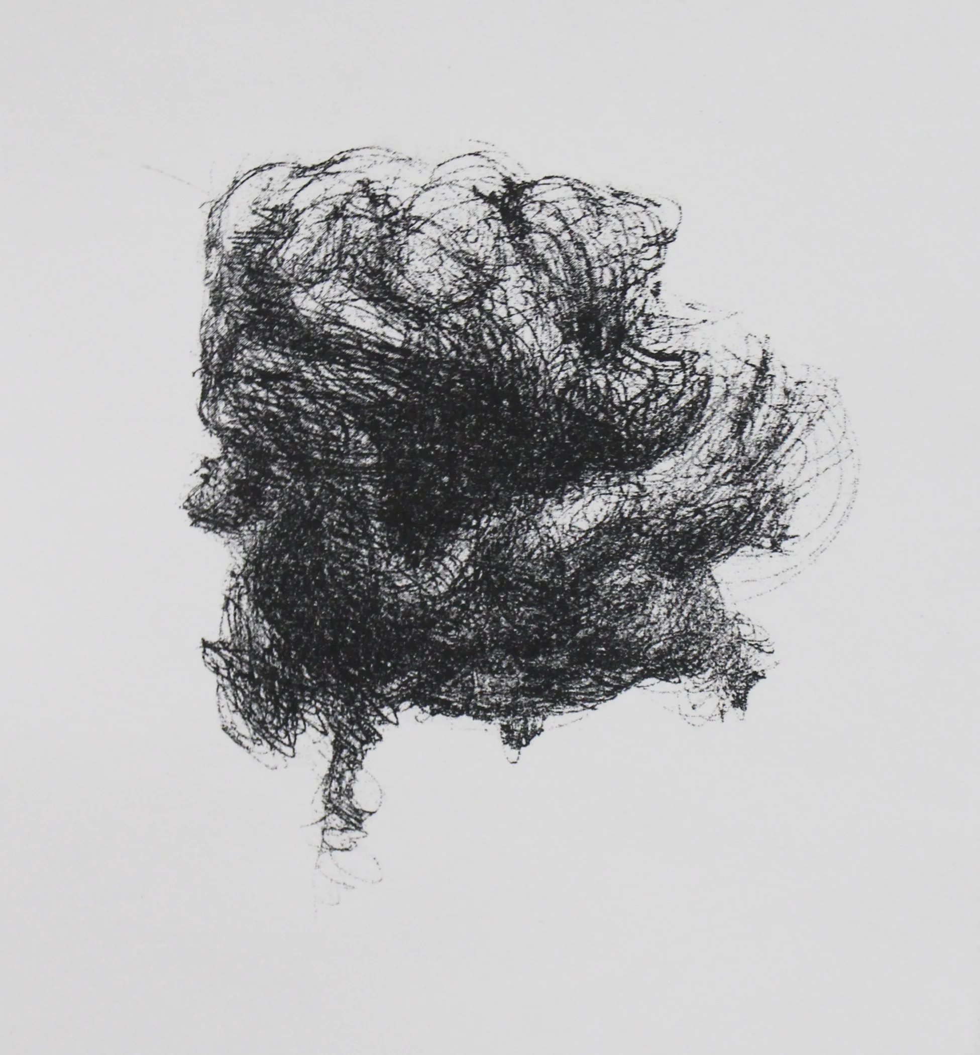 Micropyrocumulus