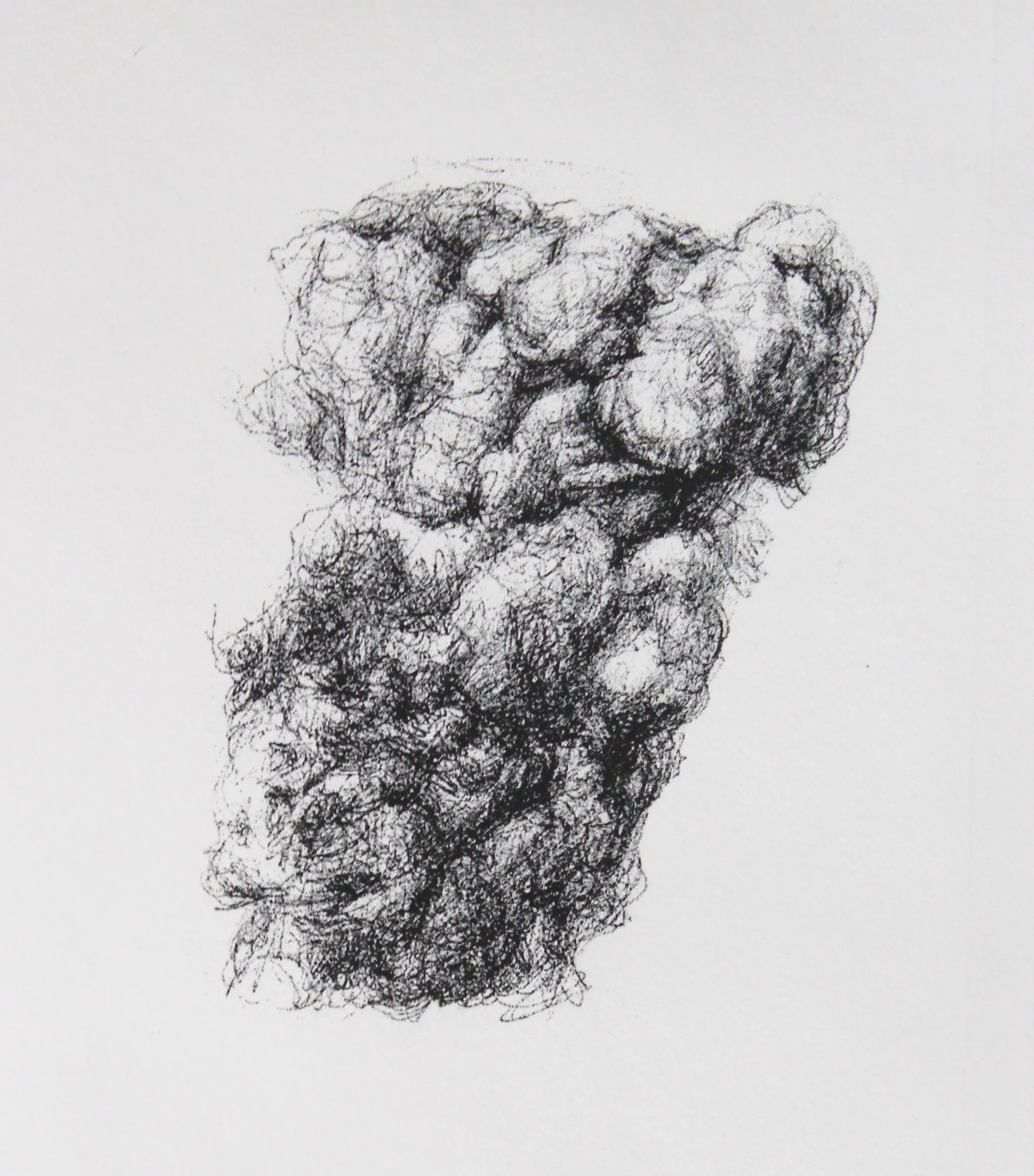 Micropyrocumulus