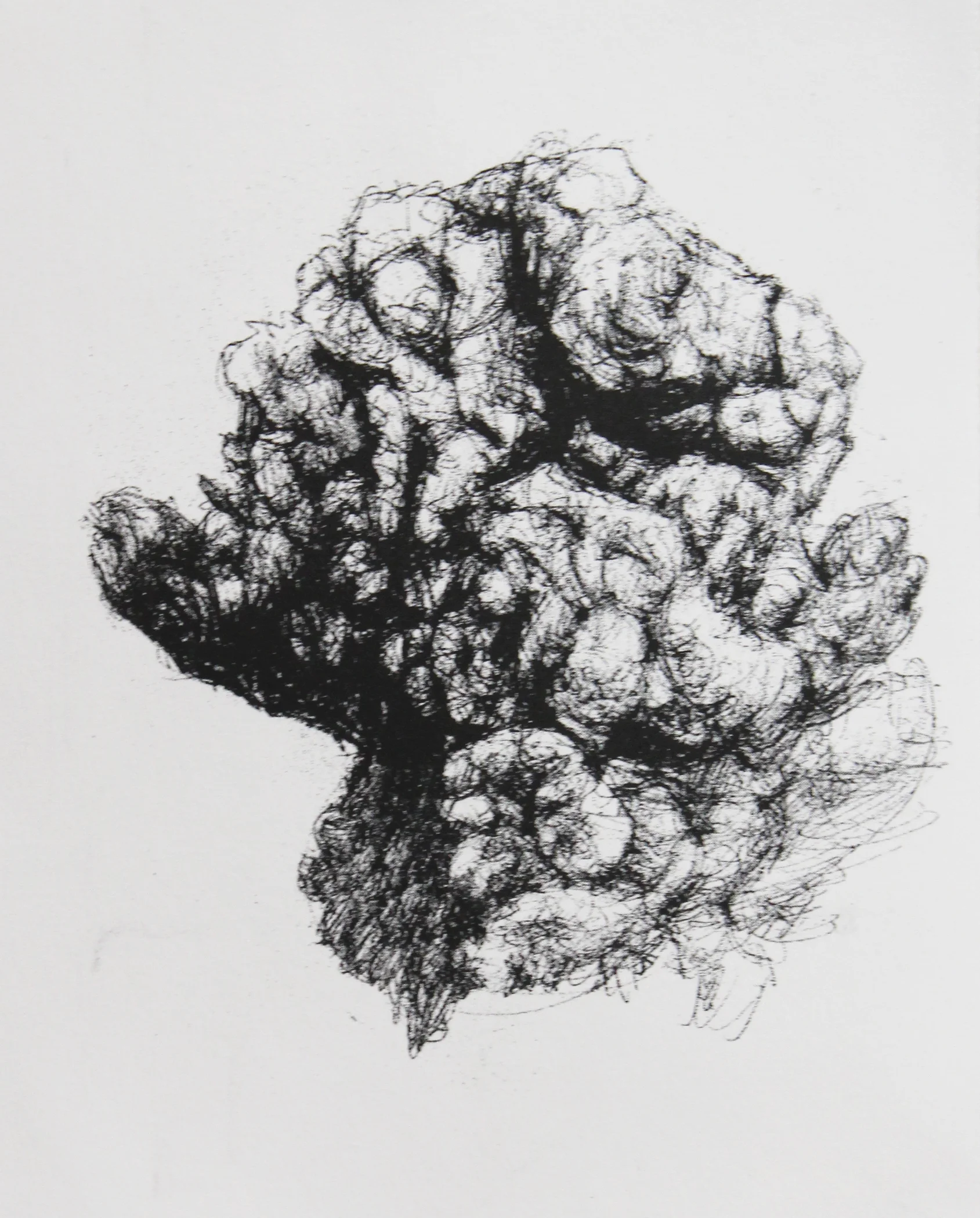 Micropyrocumulus