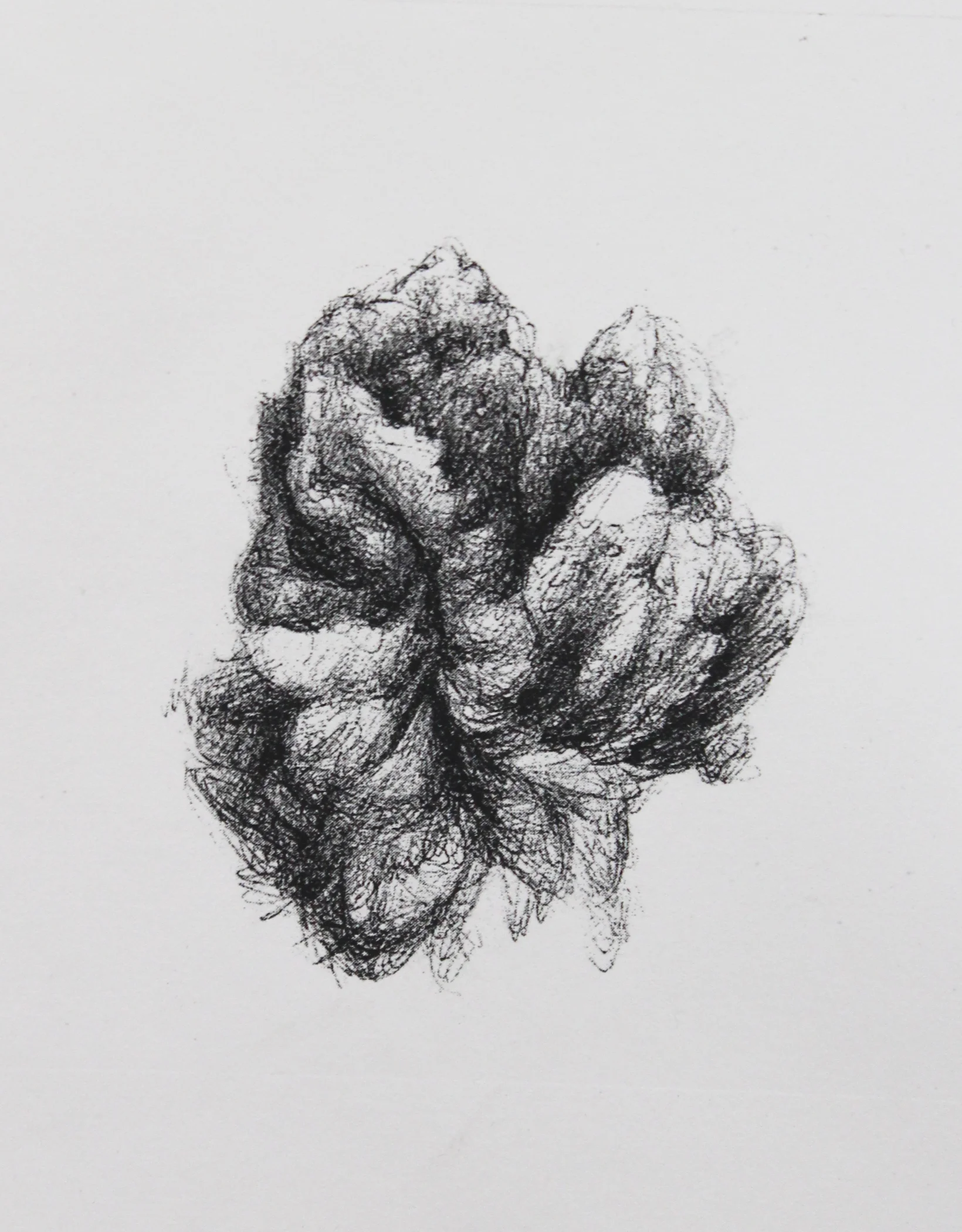 Micropyrocumulus