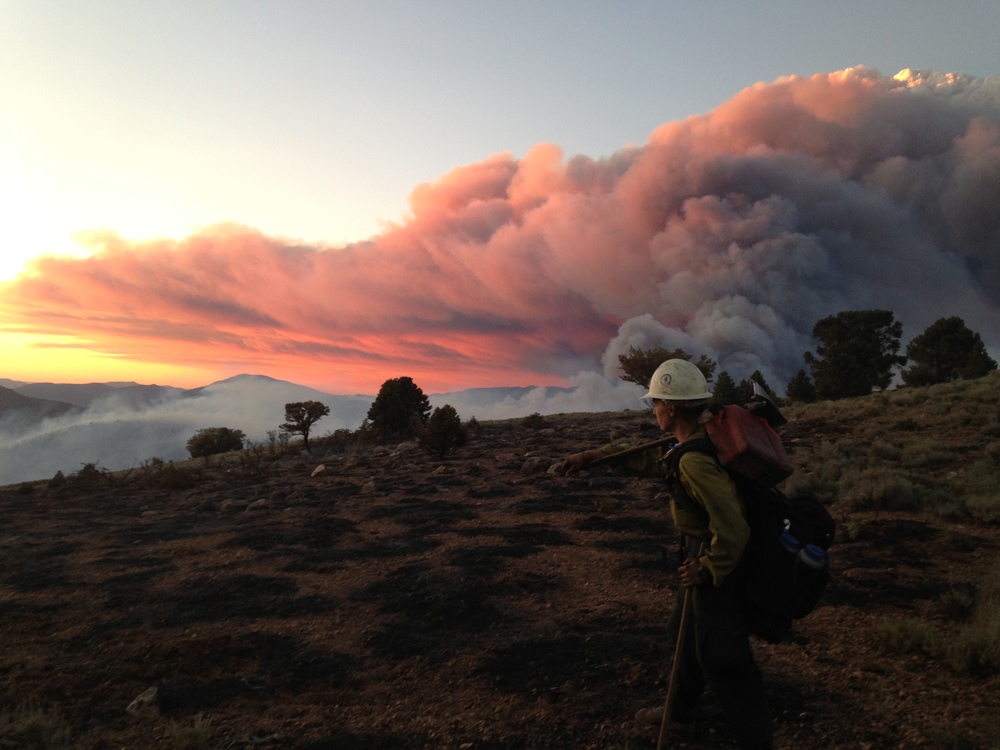 On the Bison Fire in Nevada, 2013.