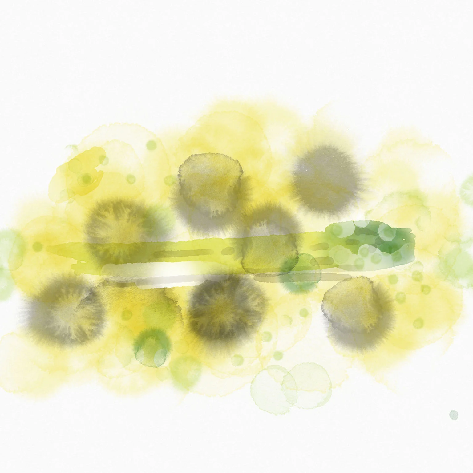 asperge_carre copie.jpg