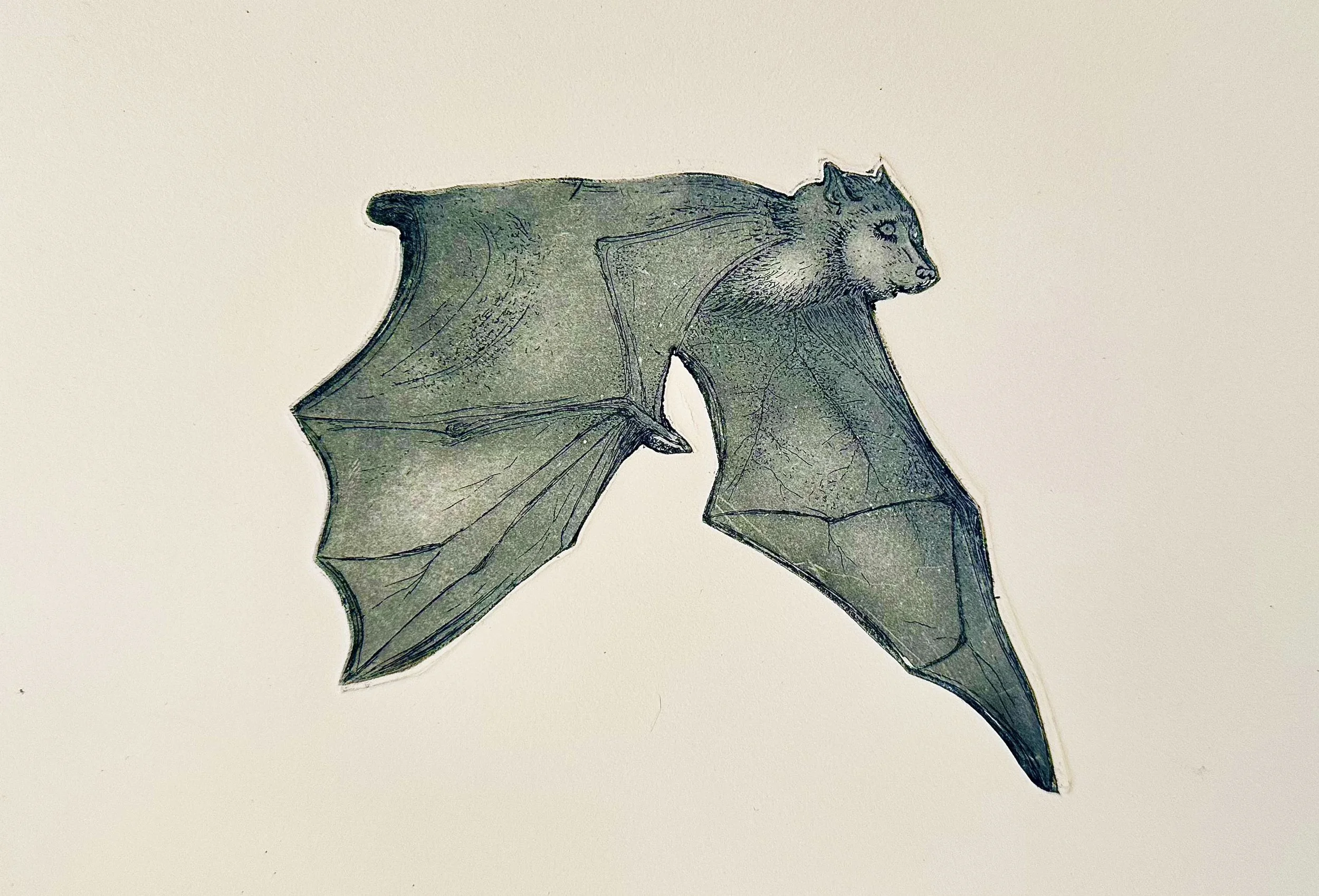 Gary Cut Blueish.jpg