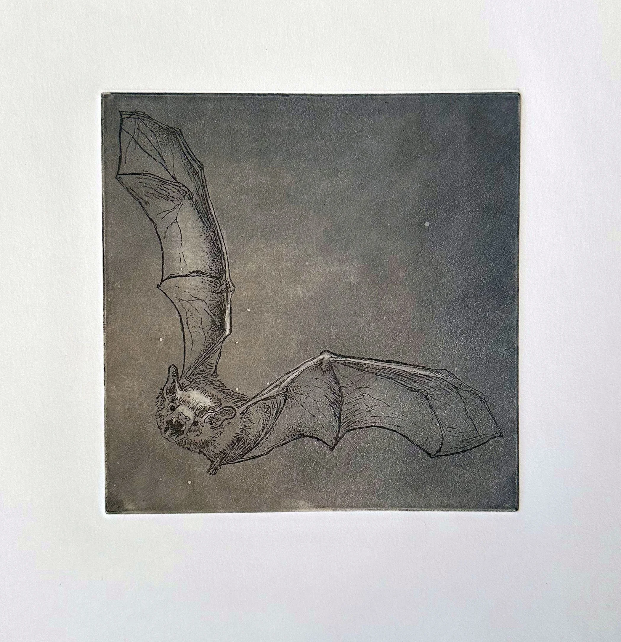 Helga Full UNCUT.jpg