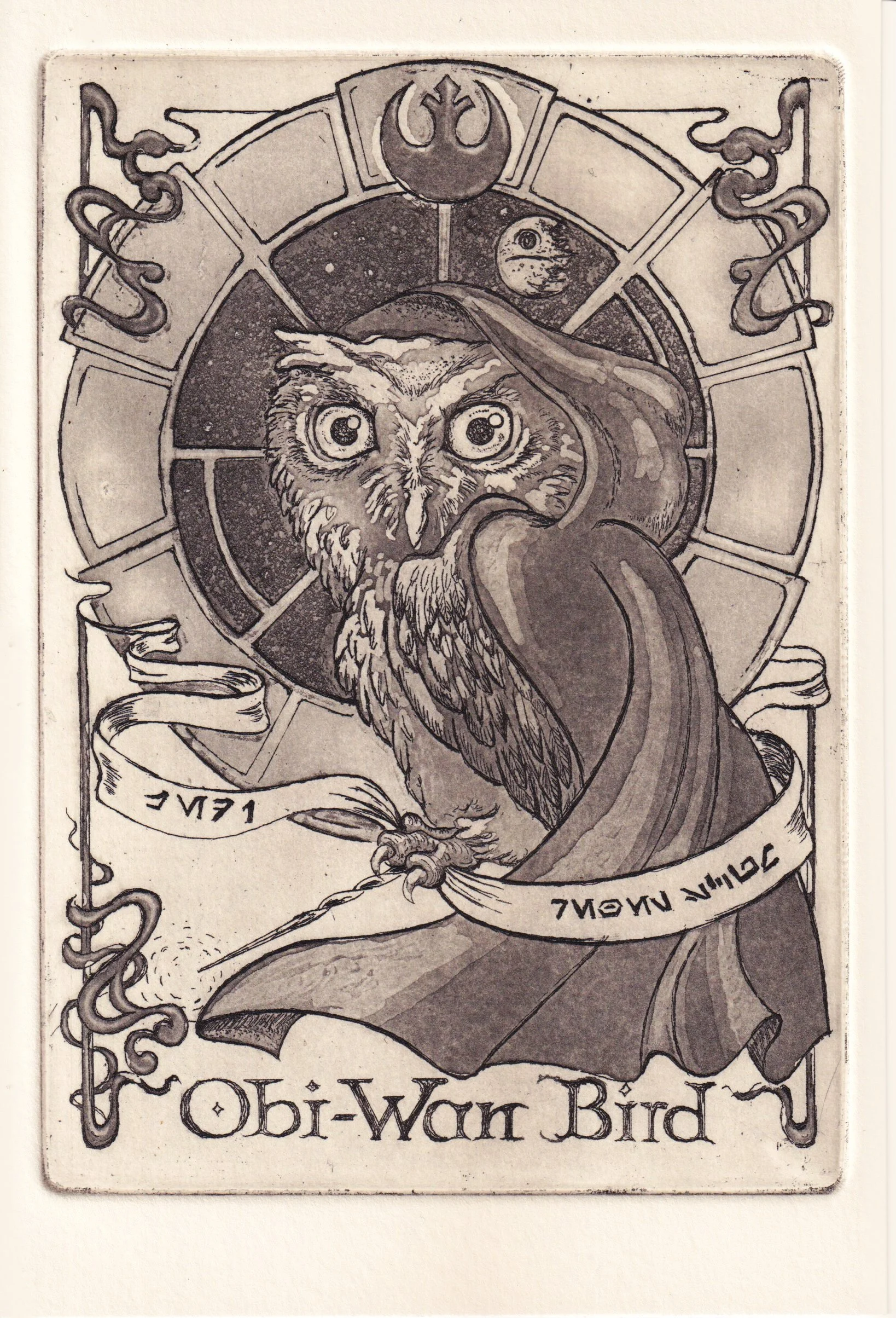 Obi-Wan Bird.jpg