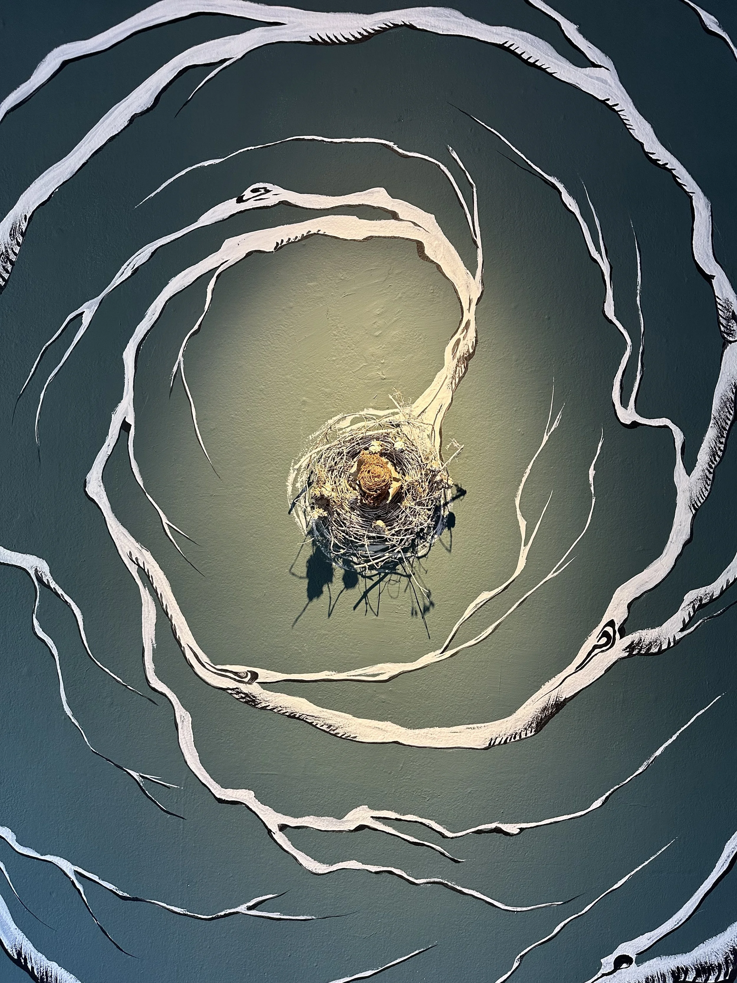 Rose of Jericho Nest and Mural Spiral.jpg