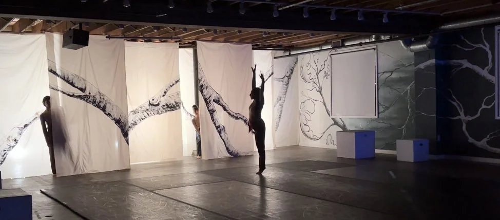 bloom and residue dancer.jpg