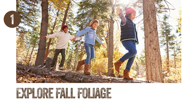 First-day-fall-2018-1.jpg