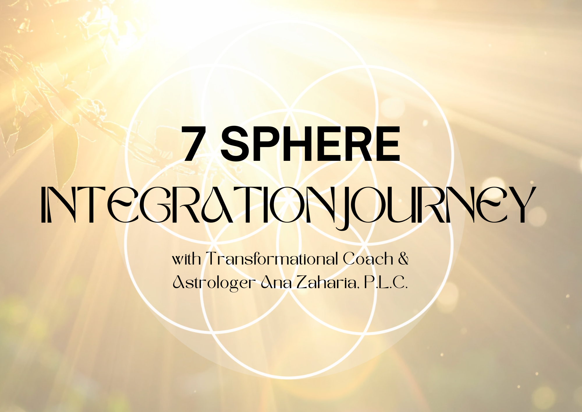 7 Sphere Integration Journey (1).png