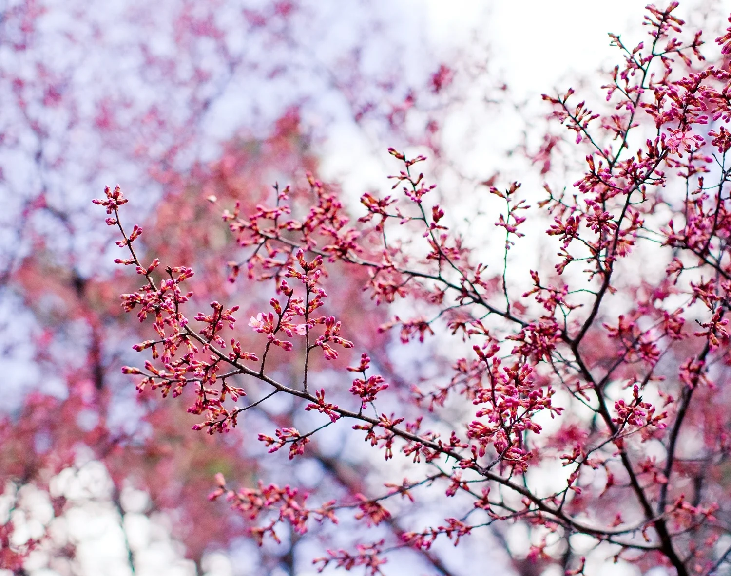 20130402-IMG_0206.jpg