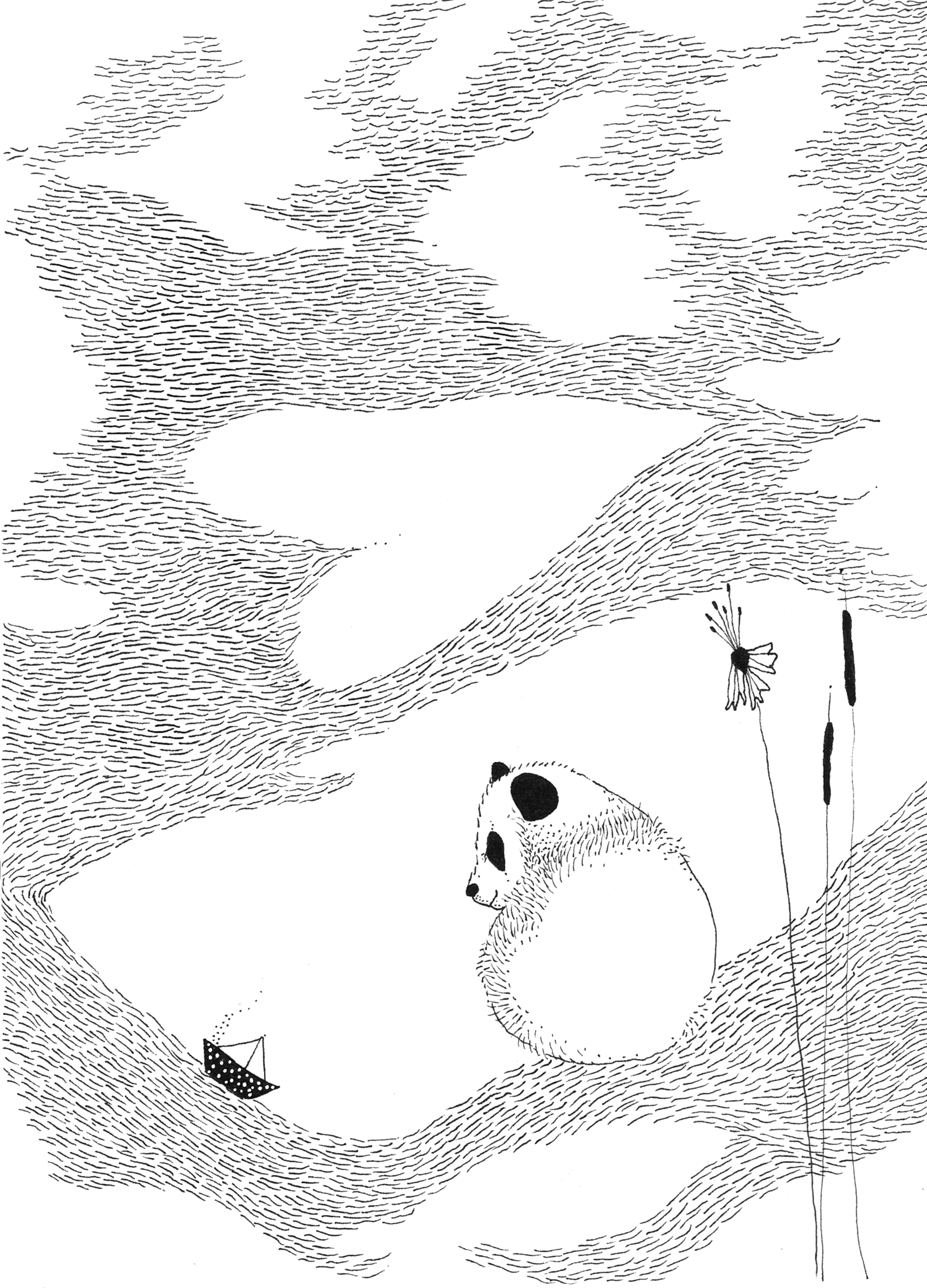 panda.png