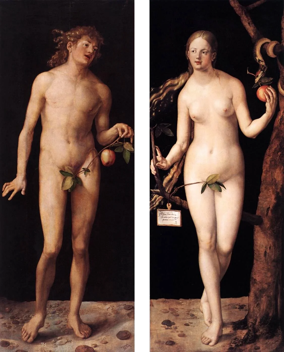 Adán y Eva , Alberto Durero, 1527.
