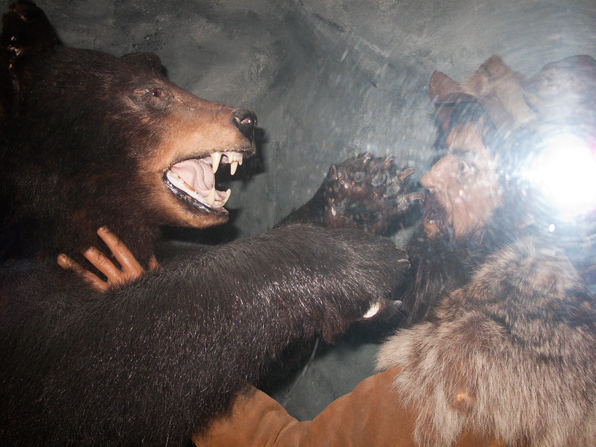 Bear Attack, 2011