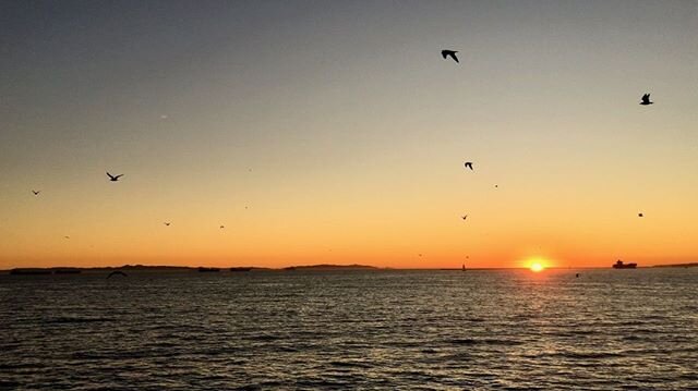 Missing those beautiful California sunsets...⁣
⁣
#framez #waveletvisuals #cinematographer #sunset_captures #sunsetsnipers #sunset_pics #sunset_universe #dream_sunset #californialove #unlimitedsunset #californialiving #scenicsunset #sunsethunter