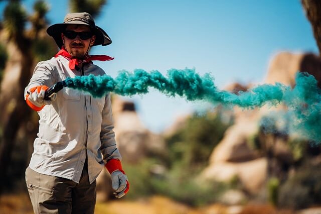Some frames from a music video directed by @fellows031 in Joshua Tree that I assisted on. My main task was to manage the SFX smoke bombs we used for the dancers to add some color to the scene. We had to work hard holding down the tents and lights whe