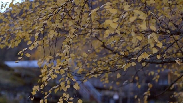 More frames from beautiful Norway I took during my trip last year. The natural beauty there is stunning and I can&rsquo;t wait to go back! #waveletvisuals #framez #filmmakinglife #filmlife #filmmakers #norway_nature #filmmaking #ig_norway