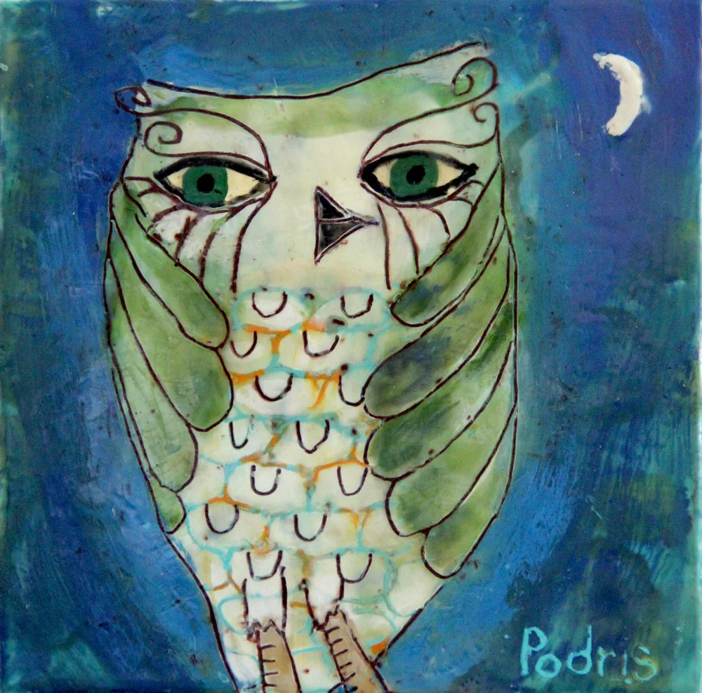 Owl's Clear Night Sky-web.jpg