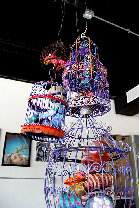 Greg's creatures caged. 