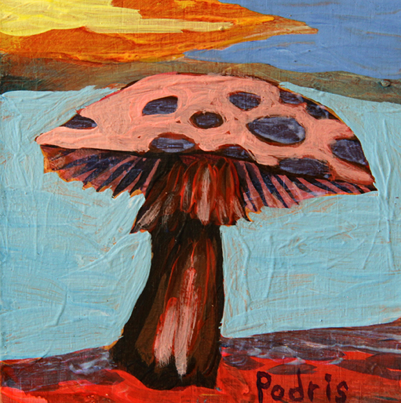 Cosmic Mushroom no2-web.jpg