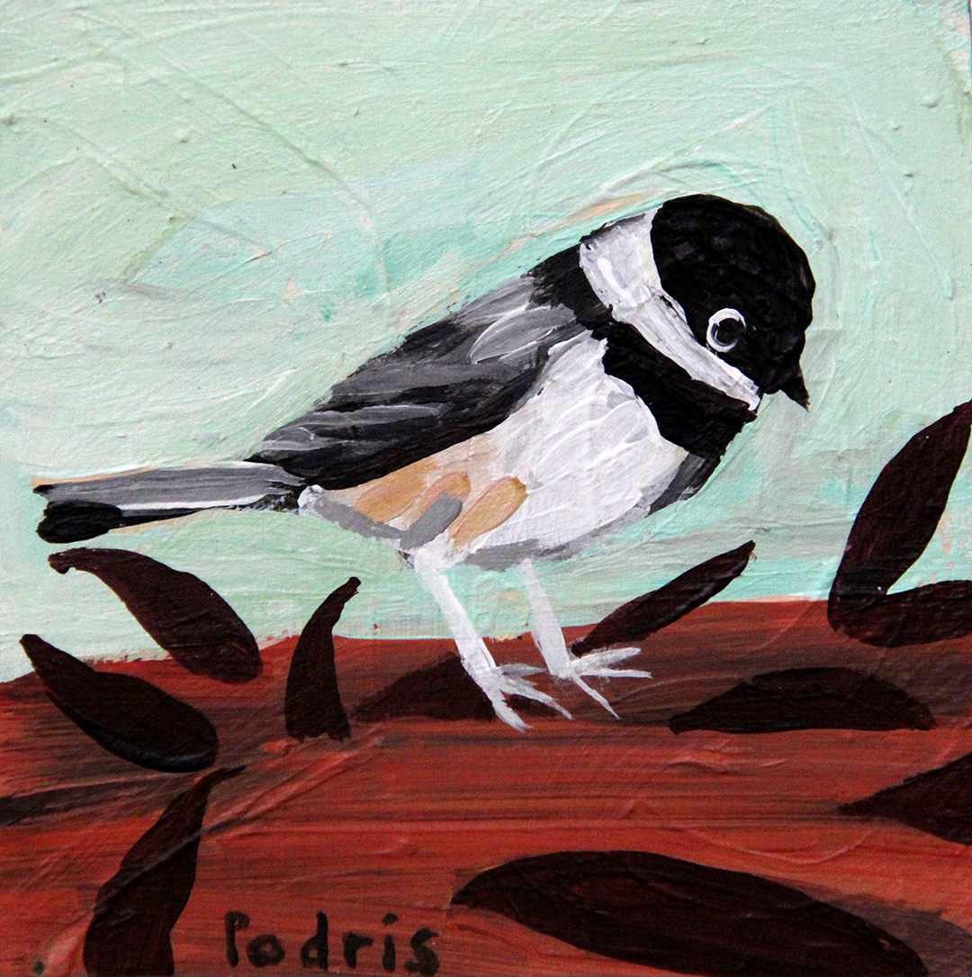 Chickadee 2-web.jpg
