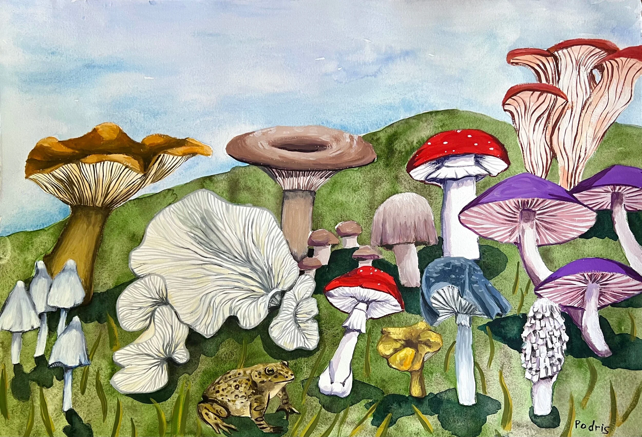 FF29F9B3-8EE7-4CCB-BAEA-E838F18A950D