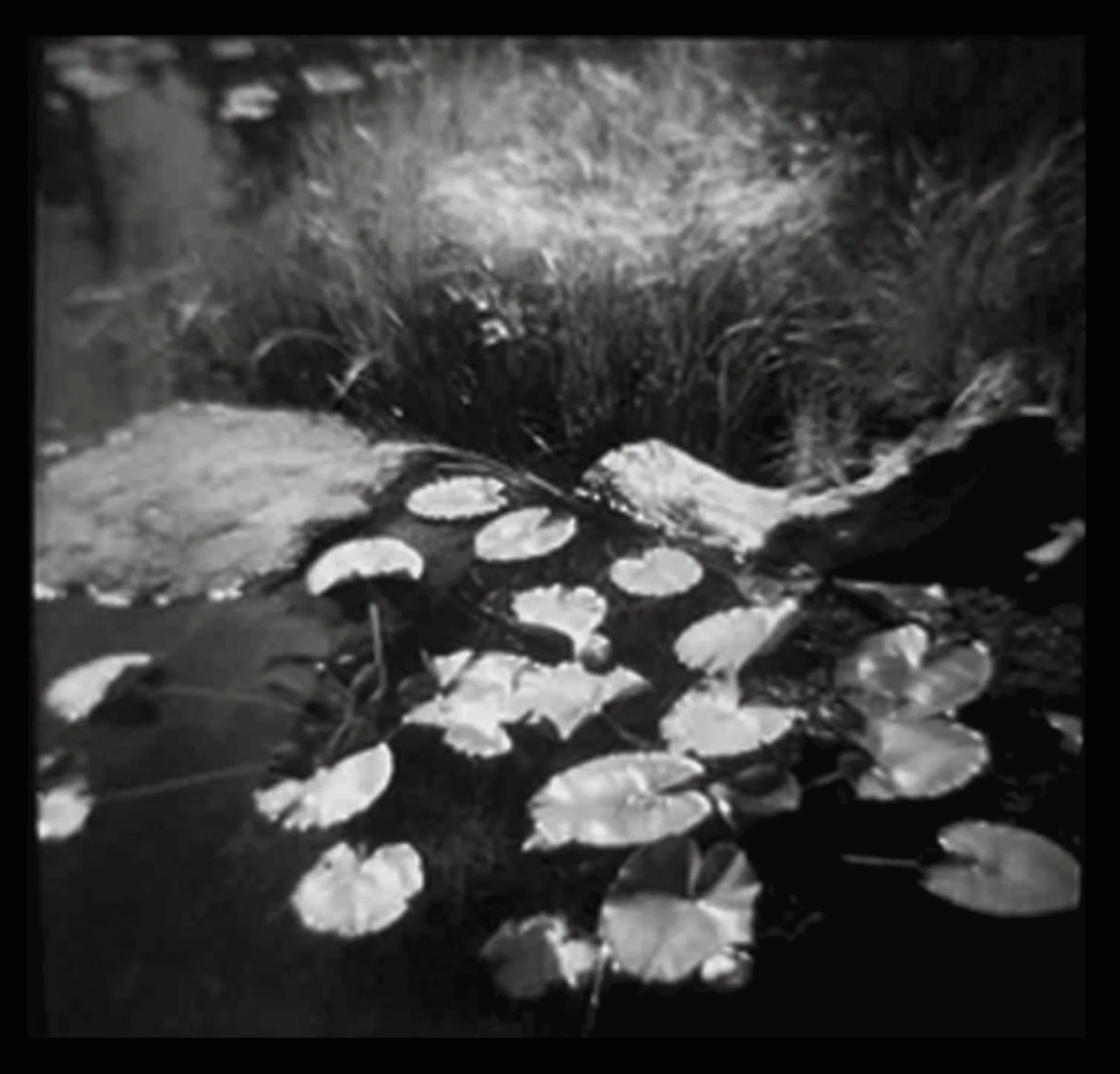 Cub Lake.jpg
