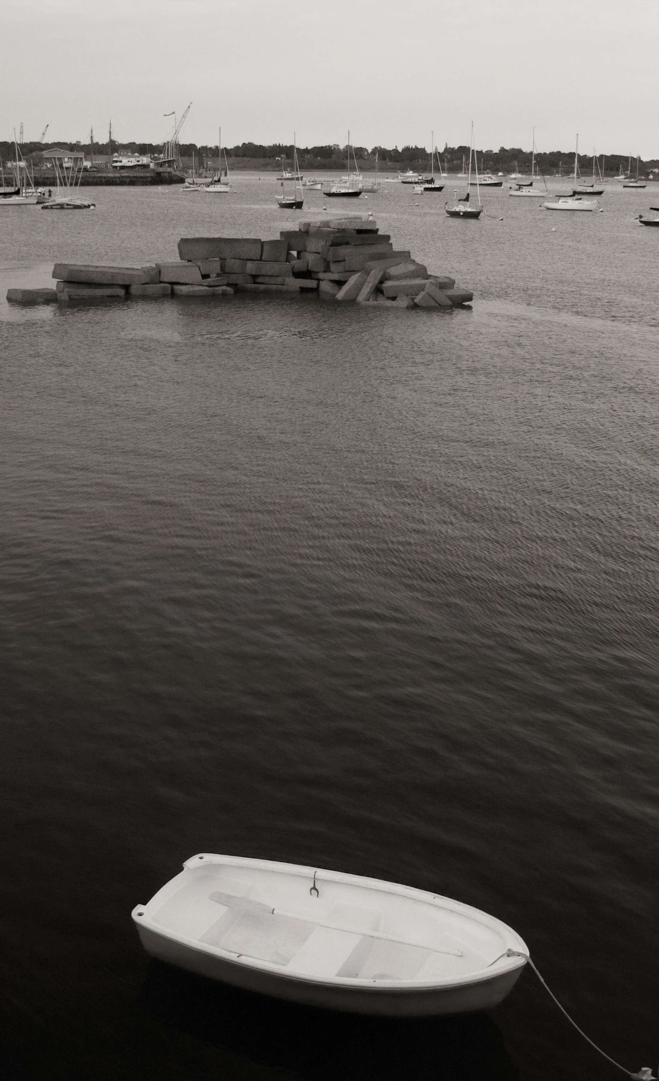 _MG_0116_bw_pantone161U.jpg