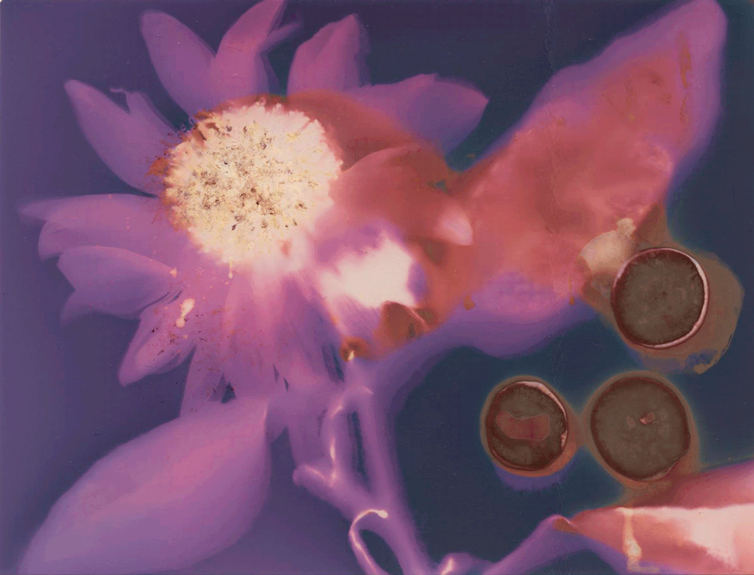 Kimberly+005.gif