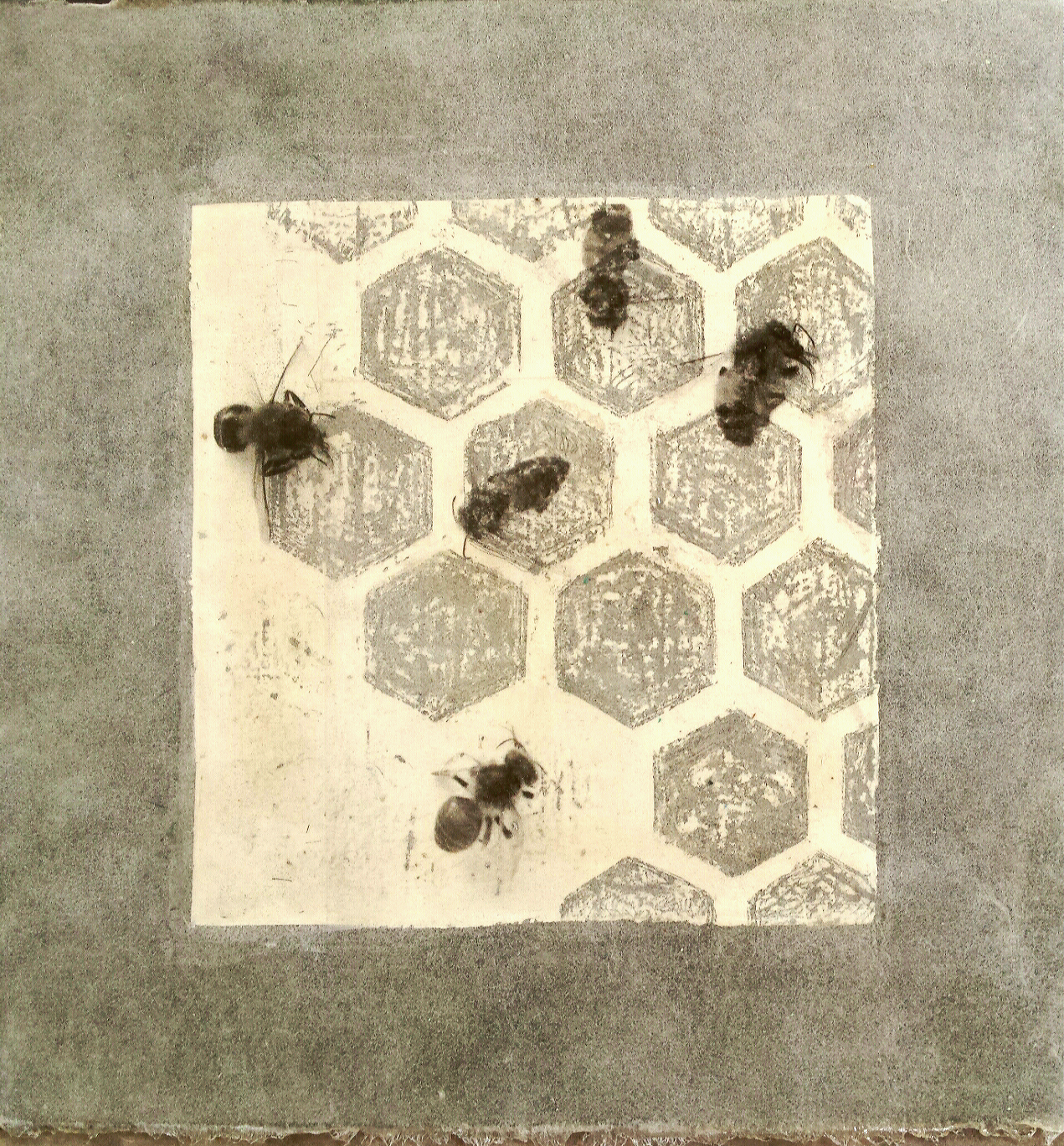 Bees_hand_scratched_honeycomb_silver_and_transfer.jpg