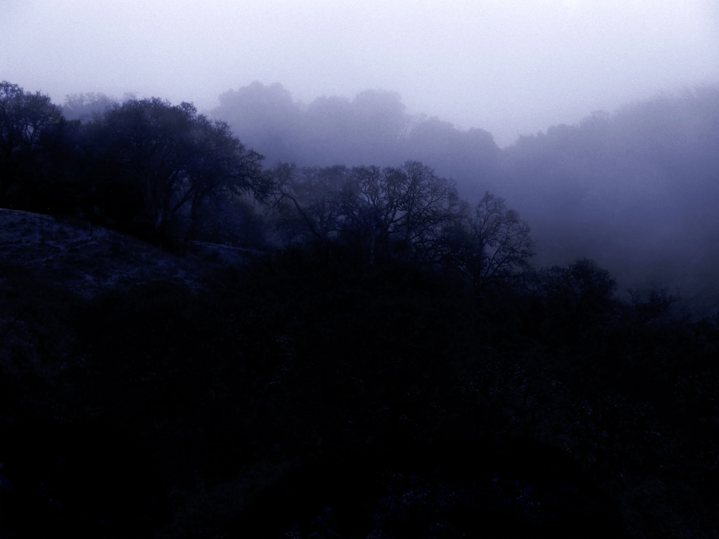 DSCN0203a.jpg