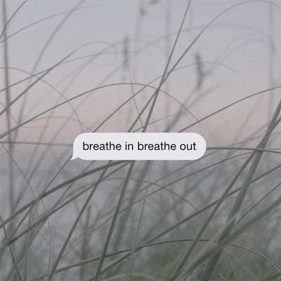tumblr_n2wlzxGszu1traht2o1_400.gif
