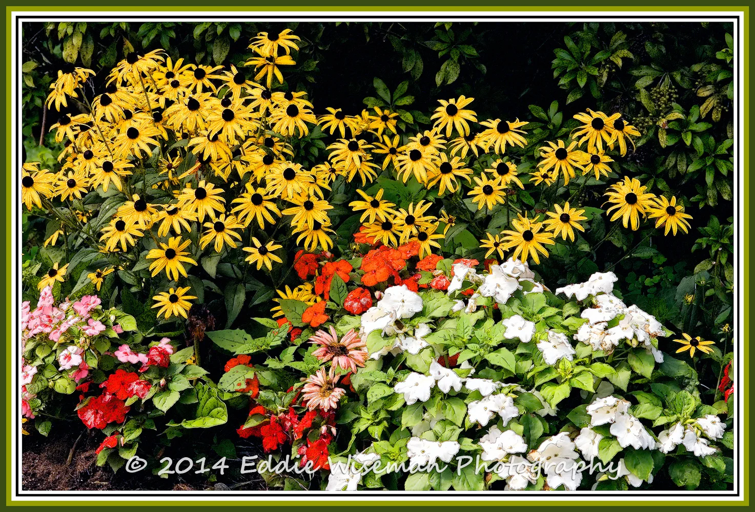 Garden Flower Mix #1 (manipulated)