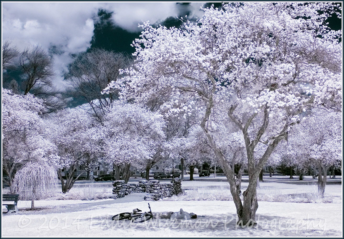 "Snooze at Noon"-Andover, MA (blue infrared)