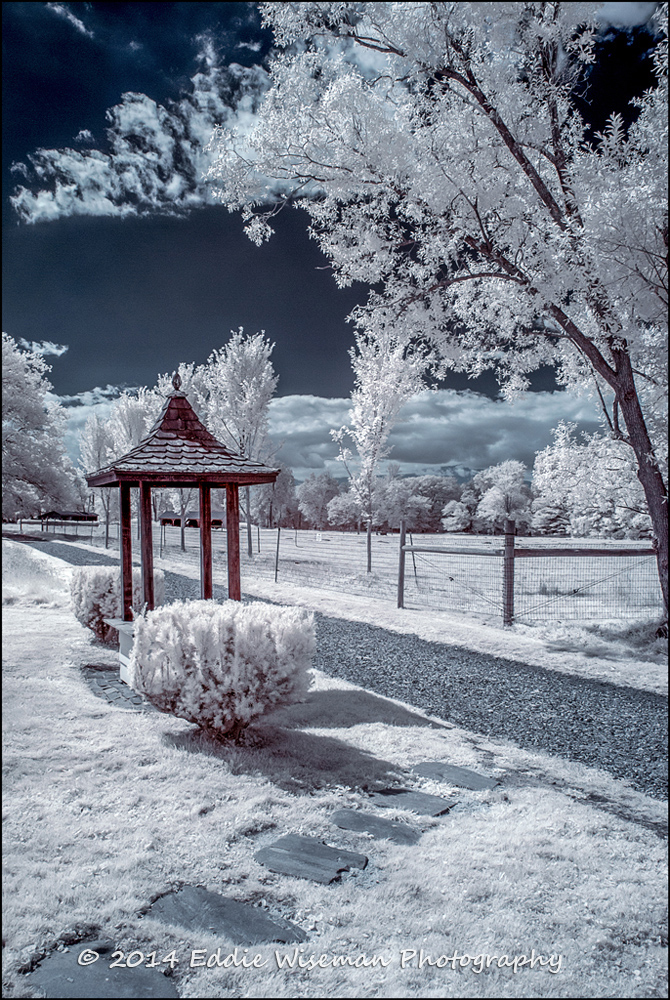 Stevens-Coolidge, Infrared #3 (blue monochrome)