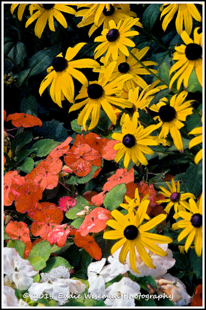 Garden Flower Mix #2 (manipulated)