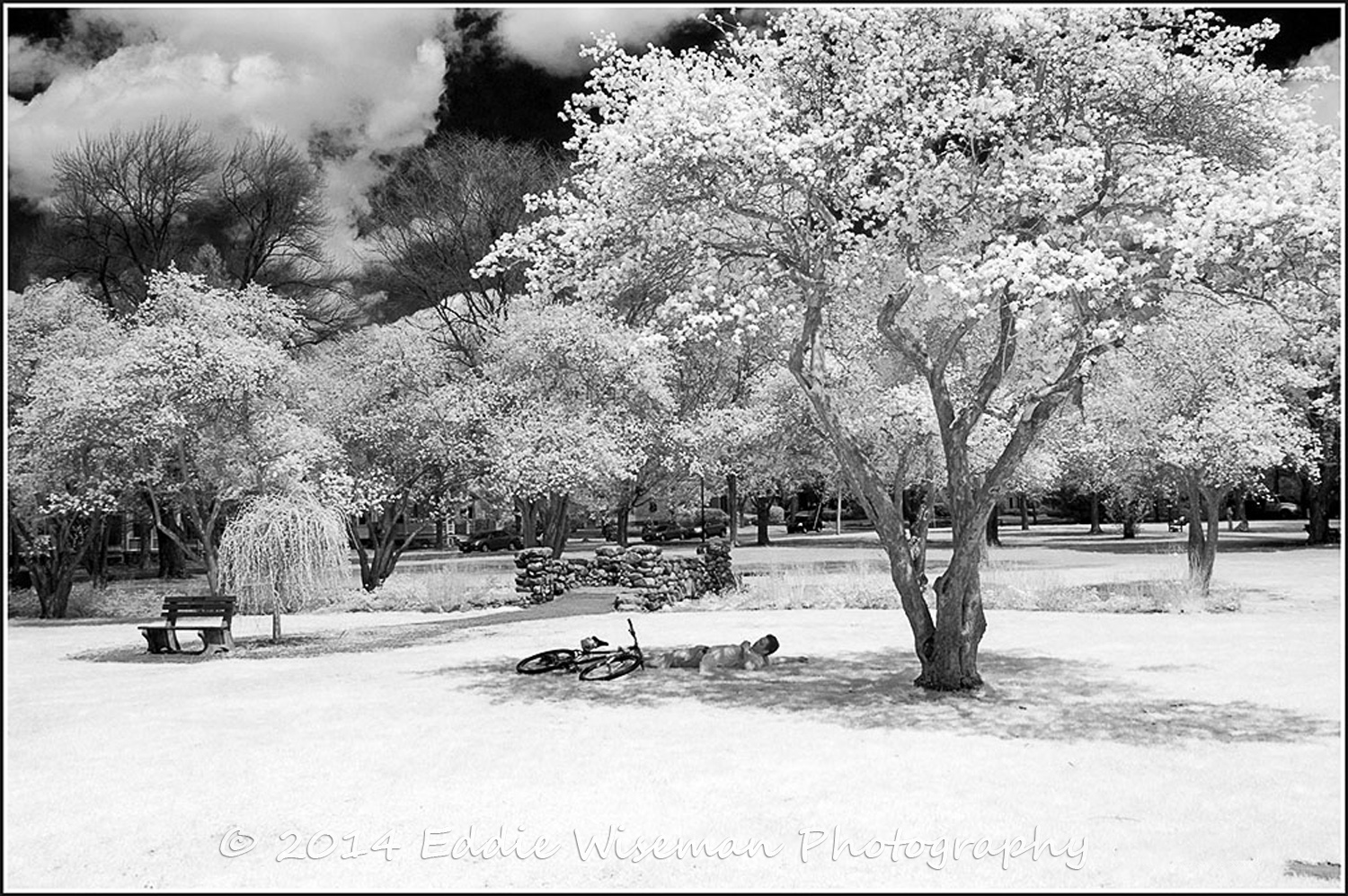 SNOOZE at NOON-Andover Park (monochrome)