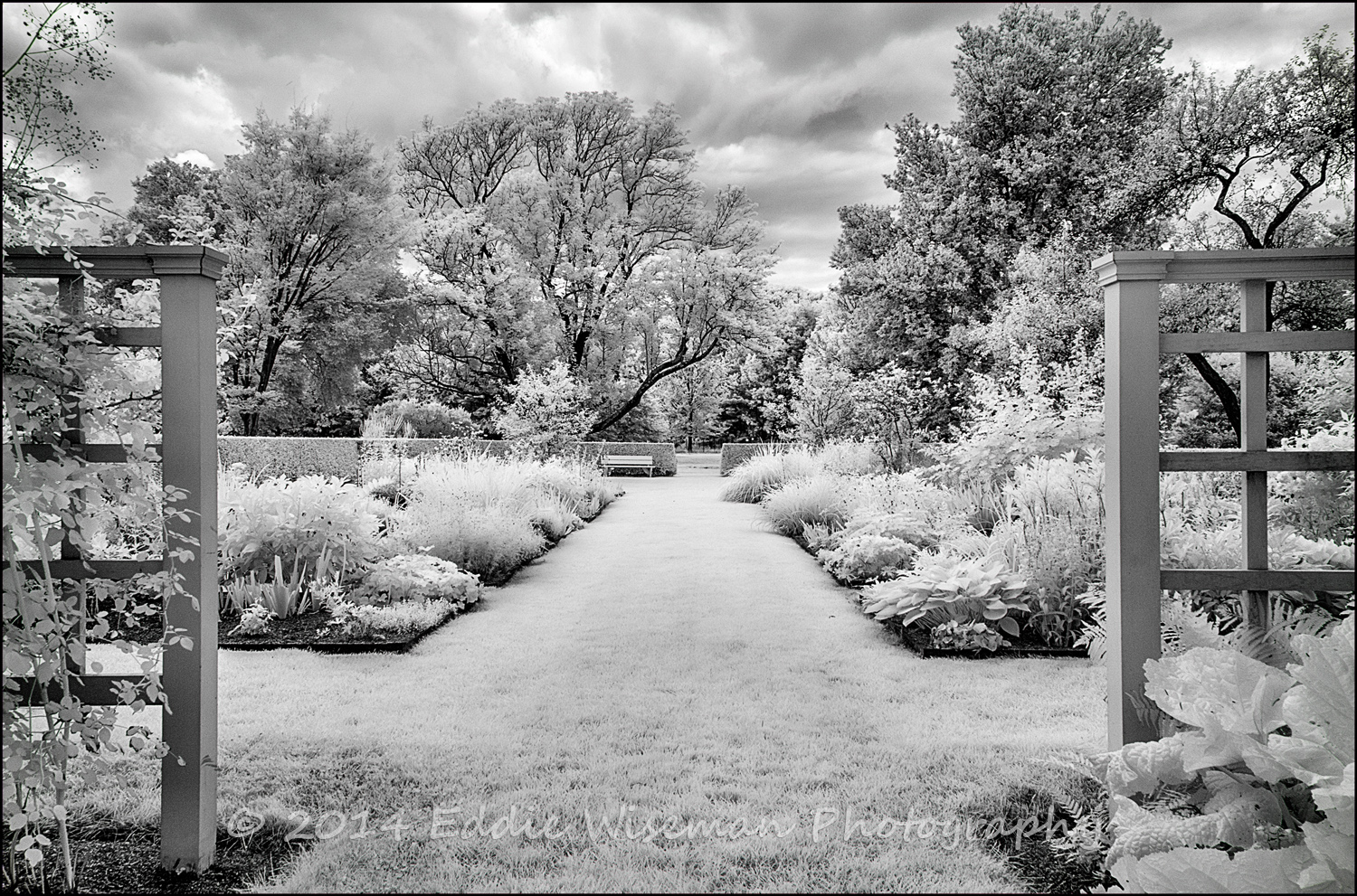 Stevens-Coolidge Estate Infrared #4 (monochrome)