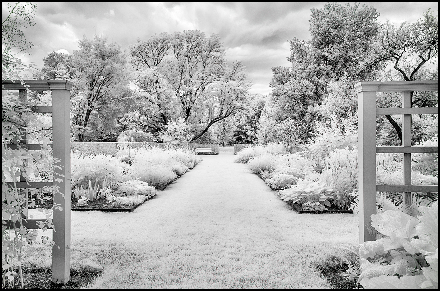 Stevens-Coolidge Infrared #4