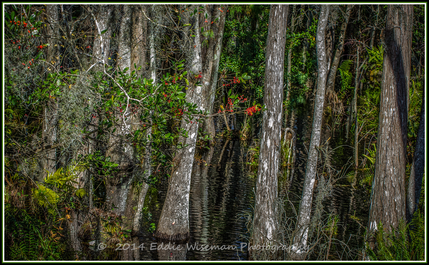 Conservation Land-Trinity FL #2