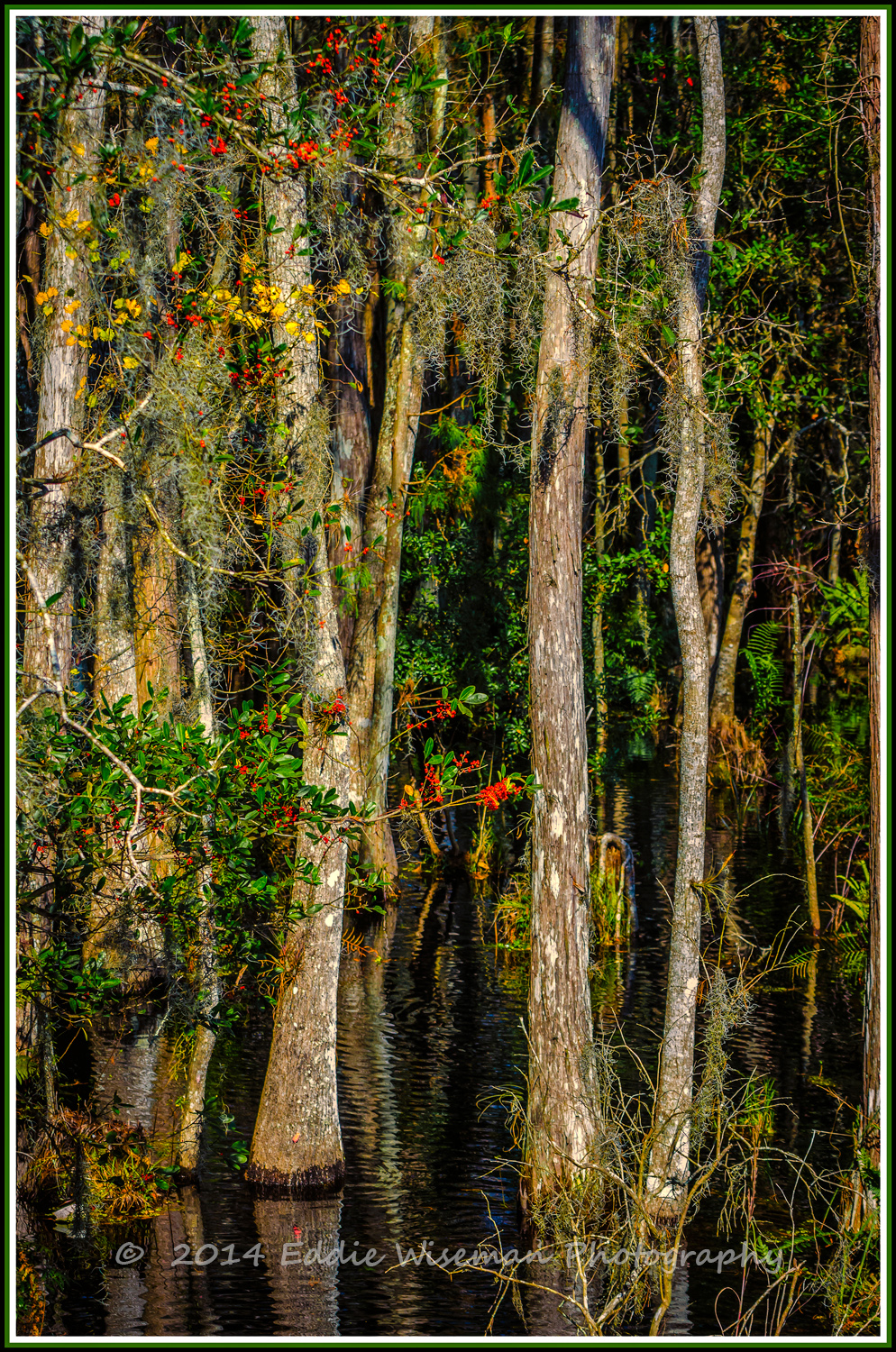 Conservation Land-Trinity FL