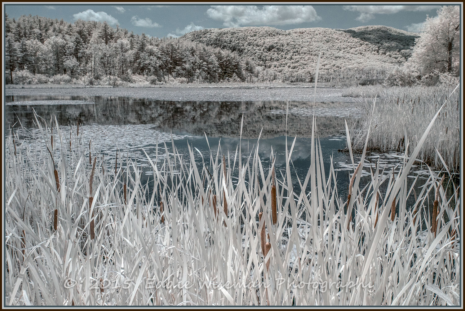 Clark Pond Stockbridge, MA "faux color" Infrared 2015