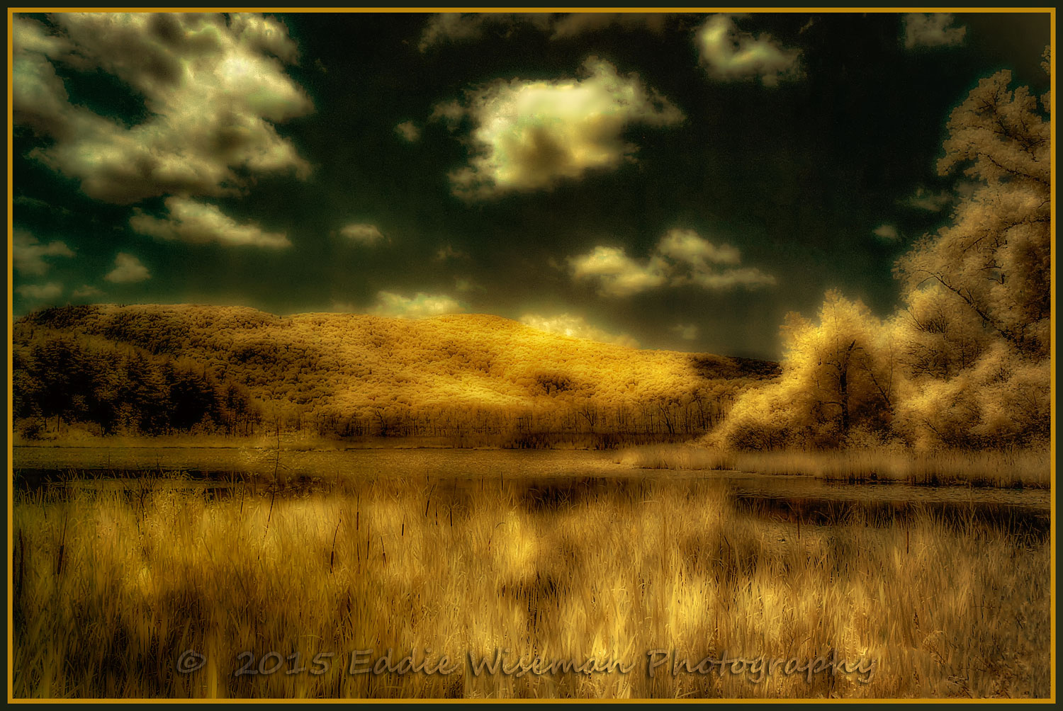 Clark Pond Infrared Image 7/ 5/ 15 enhanced, Stockbridge MA