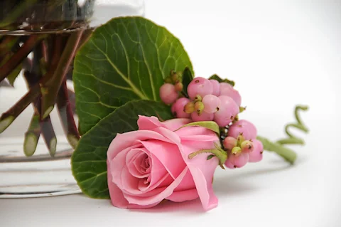 201109102sm.jpg