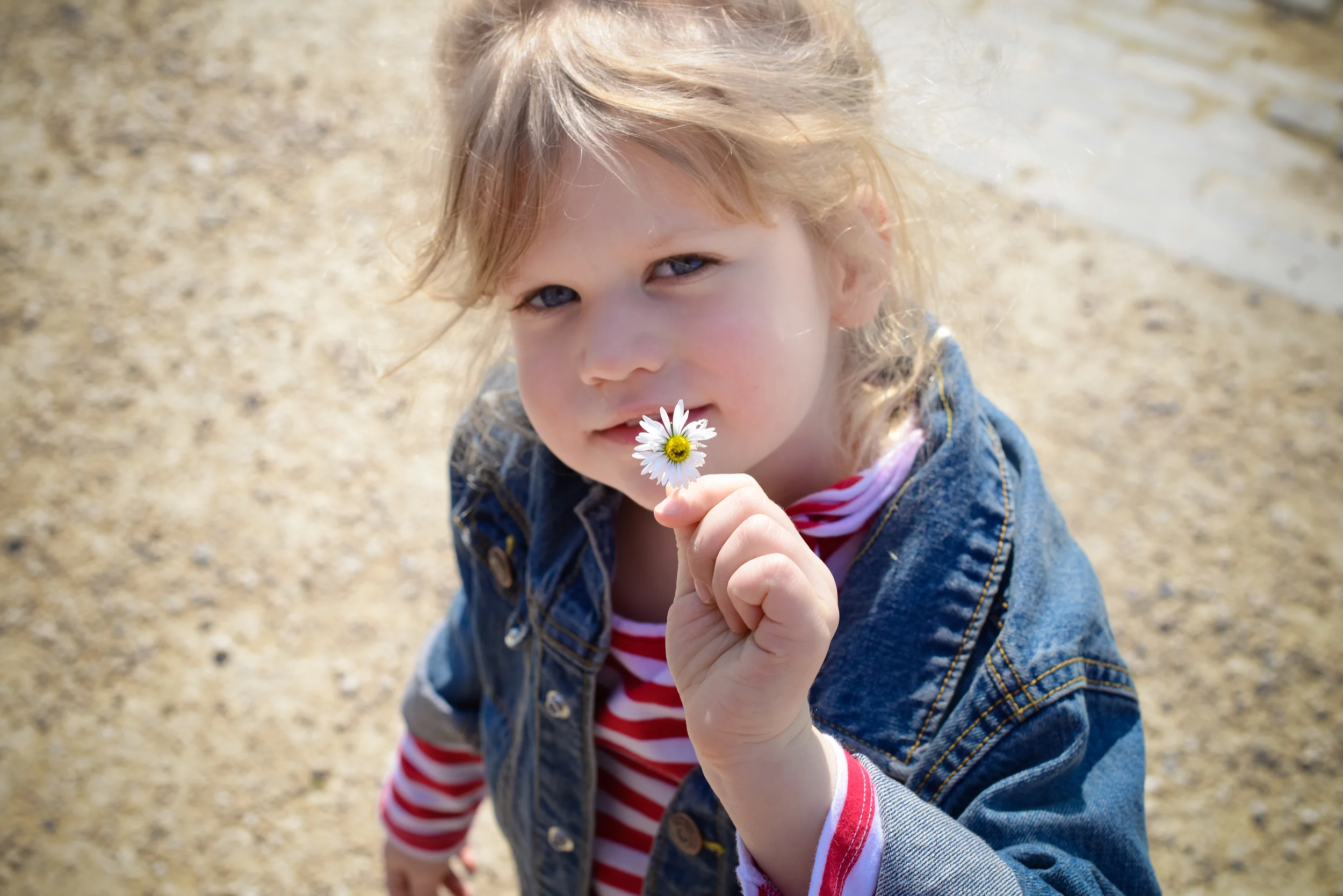 Spring Mini Session 