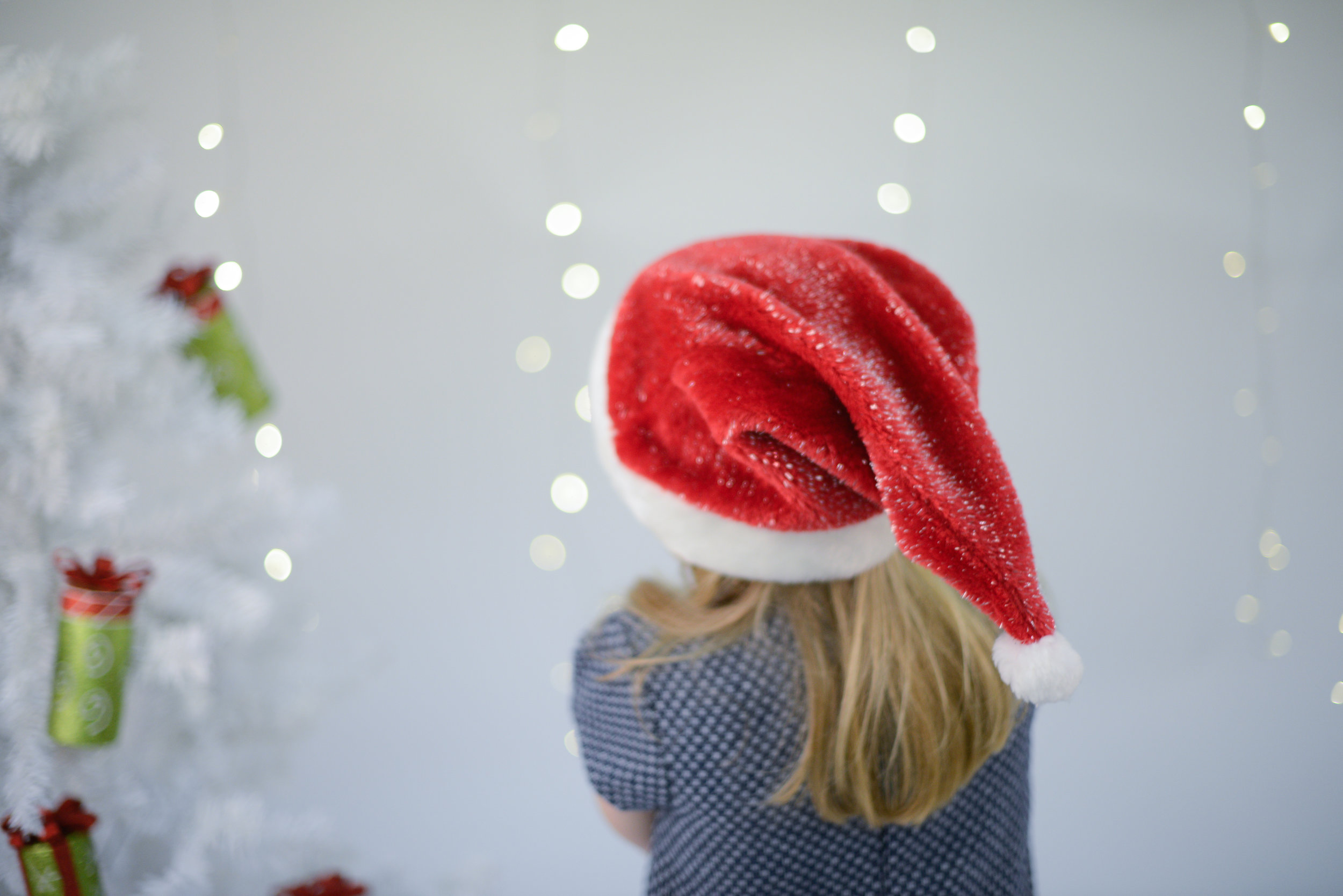 Last minute Holiday mini-sessions