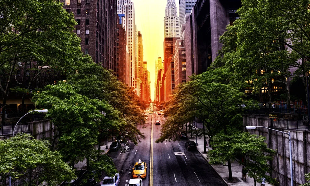 street.jpg
