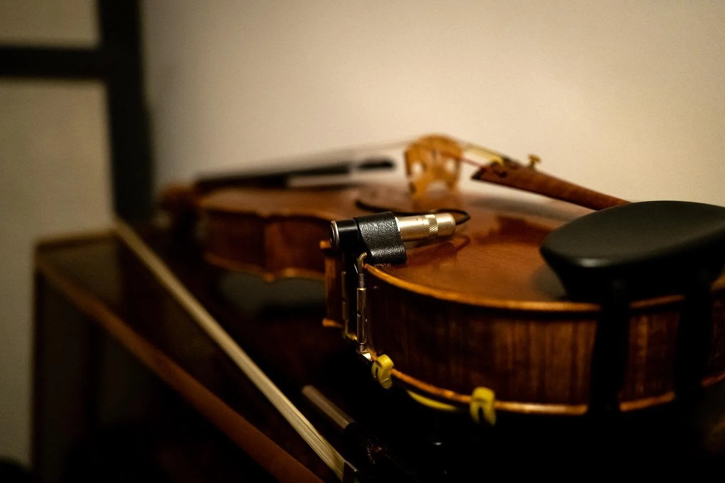 Pro violin #violin #recordingstudio #musicalinstrument