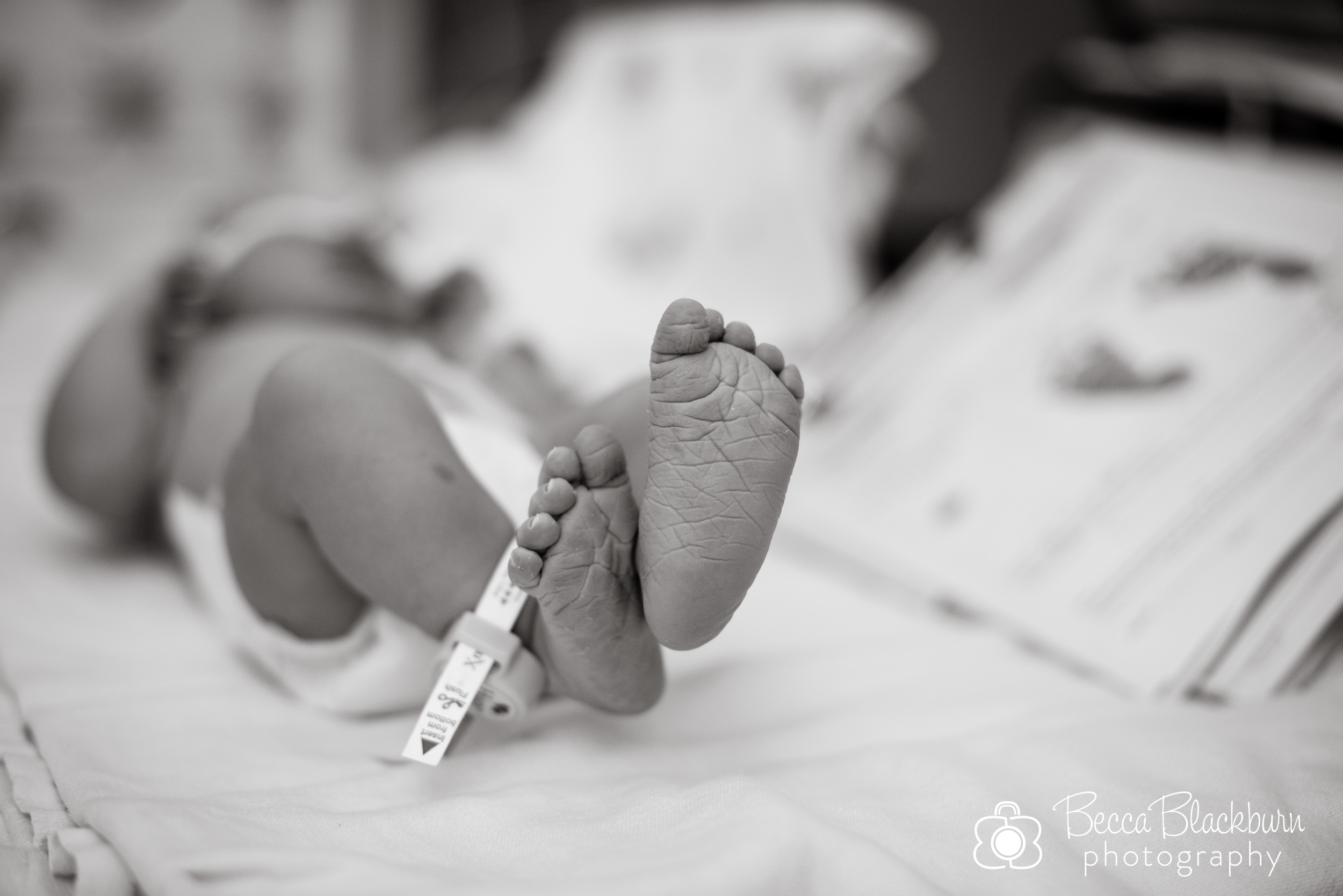 Lee.birth_watermark-16.jpg